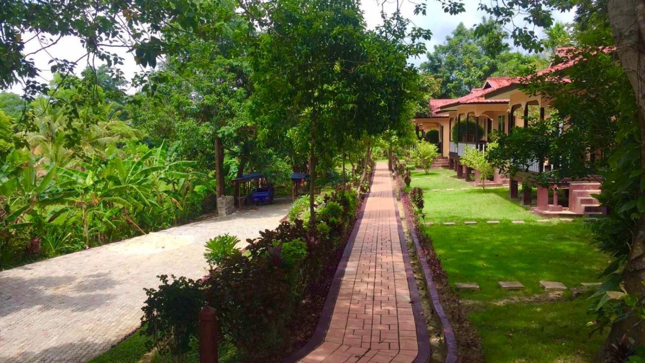 Hill Garden Hotel Chaungtha Eksteriør billede